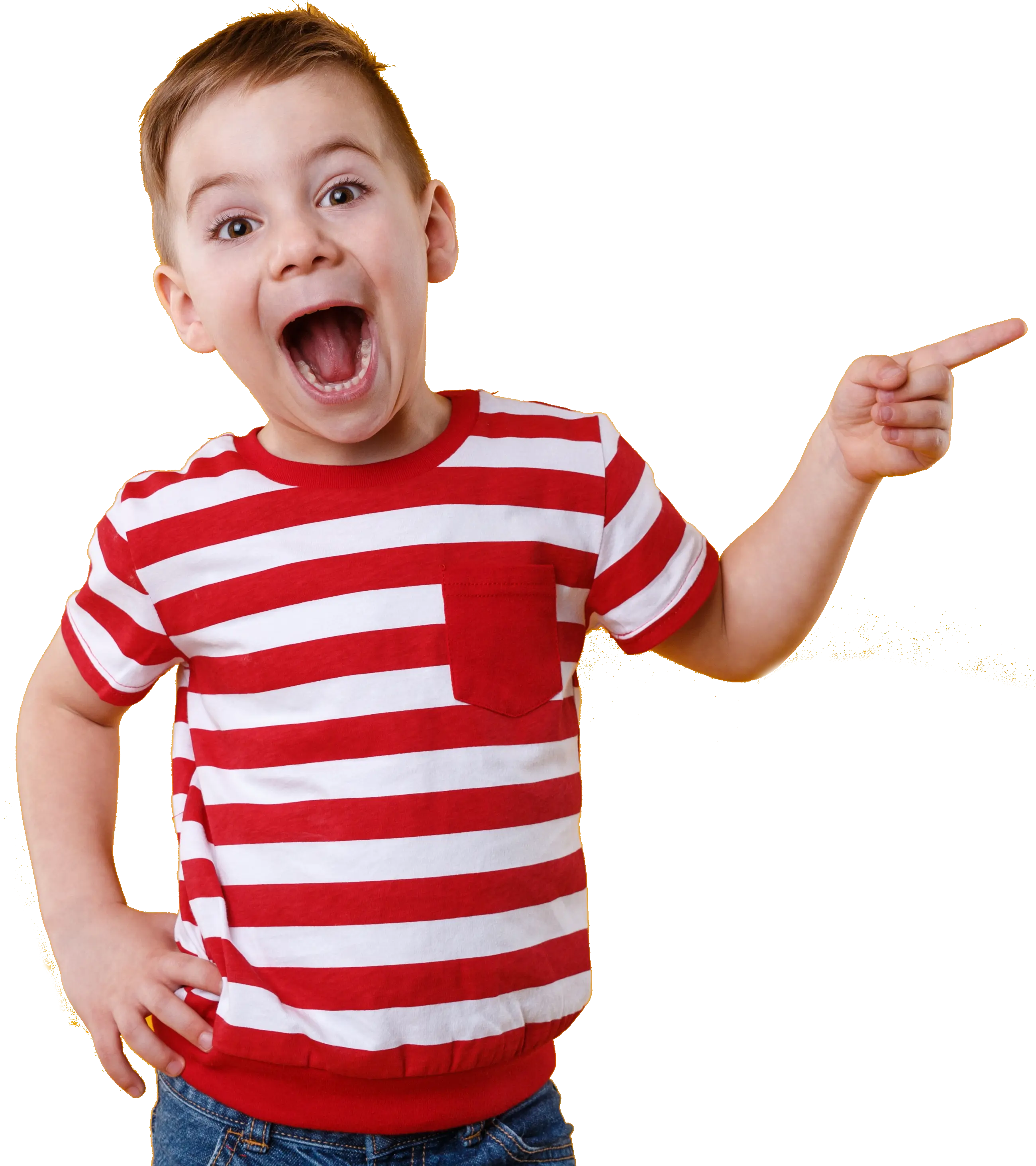 bounce house for rentals